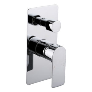 Two Function Shower Mixer