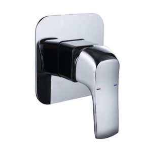 Florentine Single Function Shower Mixer FLS 700 near Officer