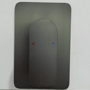 Fonte Single Function Shower Mixer FNS 700GM near Manor Lakes